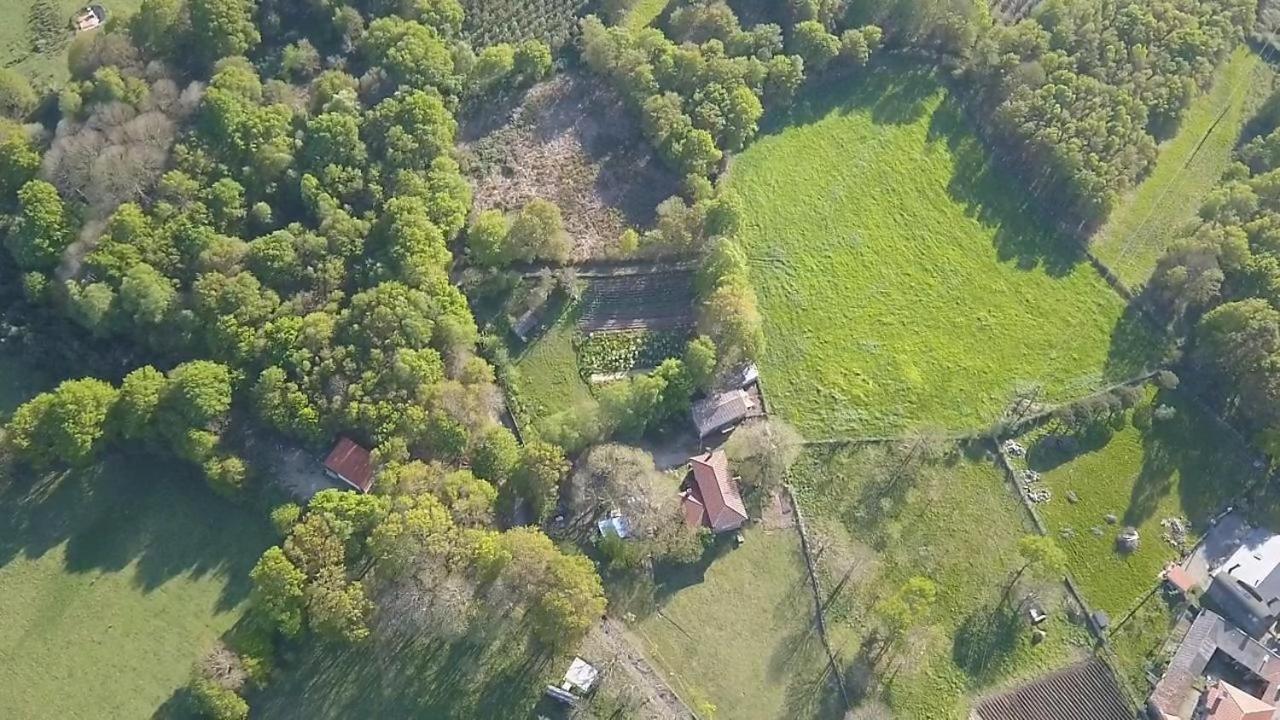 Hosteria Calixtino Palas de Rei 外观 照片